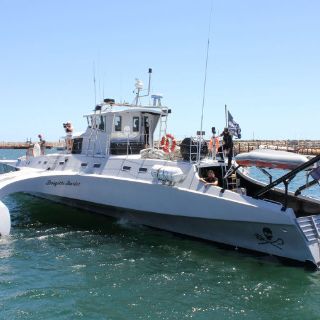 Sea Shepherd intercepta balleneros japoneses en la Antártida