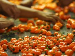 Destacan que el proyecto responde a exigencias de la NOM. ARCHIVO /