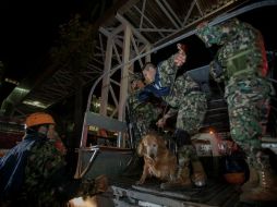 Elementos del Ejército bajan algunos perros para el rescate de personas. XINHUA /