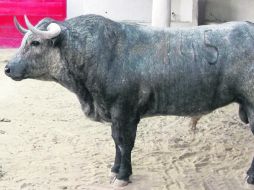 Temporada 2012-2013 de la plaza de toros Nuevo Progreso. ESPECIAL /