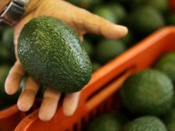 Las exportaciones de industrias alimentarias representan el 5.3% de participación. ARCHIVO /