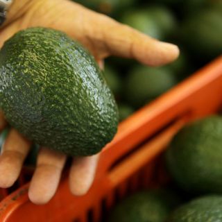 Crecen exportaciones de Jalisco 12.8 por ciento