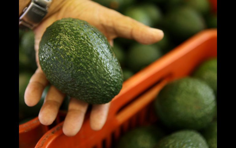 Las exportaciones de industrias alimentarias representan el 5.3% de participación. ARCHIVO /