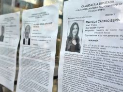 Vista de las fotos y biografías de los candidatos a Parlamento Nacional y Asambleas Provinciales. EFE /