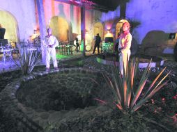 Agave. El personaje principal de este viaje es la penca madre del tequila, así como toda la cultura alrededor de ella.  /