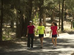 Bosque de los Colomos. En el Oeste de la ciudad hay 2.5 metros cuadrados de áreas verdes por habitante, en el este baja a 0.5. ARCHIVO /