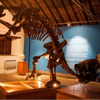 Fósiles al descubierto, tres millones de años después