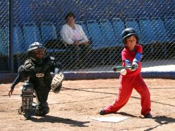 Fin de semana lleno de actividad dentro de la Liga Alfarera de Beisbol.  /