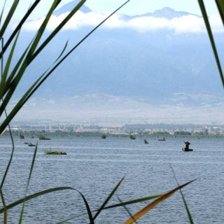 WWF felicita a Bolivia por proteger zona amazónica