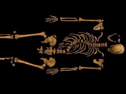 El esqueleto muestra traumatismos en el cráneo, de los cuales falleció el monarca en batalla. EFE /