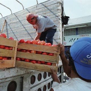 Tomateros festejan acuerdo con EU