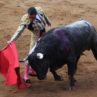 Toreros se reportan listos para aniversario de la México