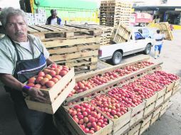 Actualizado. Las propuestas mexicanas incluyeron aumentos en los precios de referencia del jitomate. EL INFORMADOR /