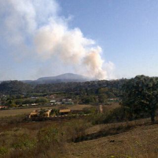 Controlan incendio en La Primavera