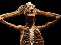 La exhibición ha sido vista por más de 15 millones de personas en el mundo. EFE /