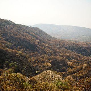Videovigilancia es insuficiente, se requiere personal: ciudadanos