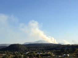Se registra el primer incendio del año en La Primavera. Imagen proporcionada por @anialvarado_h. ESPECIAL /