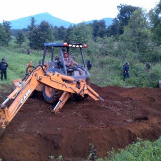 La intervención humana vulnera los ecosistemas