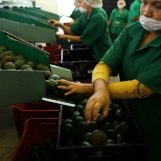 Comercio entre México y EU se reactiva