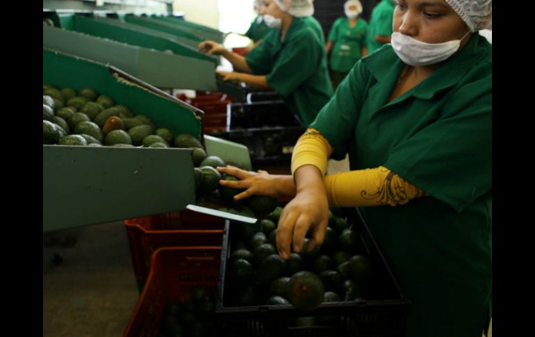 Proximamente organizarán eventos para replantear el Tratado de Libre Comercio de América del Norte. ARCHIVO /