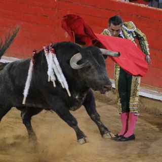 El encierro de la Plaza México esta listo