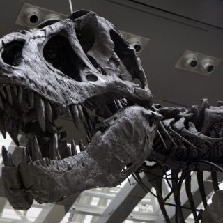 En Londres, dramatizan extinción de los dinosaurios