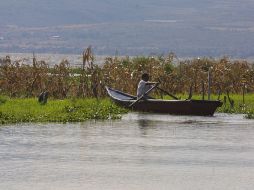 Se calcula que al año son arrastradas por las lluvias 570 mil toneladas de suelo a la Subcuenca de Chapala. ARCHIVO /