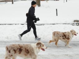 Una mujer sale a pasear a Central Park junto con sus perros, apesar de las intensas nevadas. AFP /