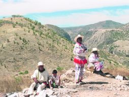Viajes. De Norte a Sur, esta tierra tiene múltiples paisajes para recorrer; sólo hay que buscar la guía adecuada para el paseo.  /