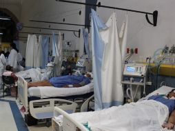 En infantes y adolescentes, la Secretaría de Salud Jalisco (SSJ) tiene documentados más de 200 casos en 2011 y 312 en 2012. ARCHIVO /