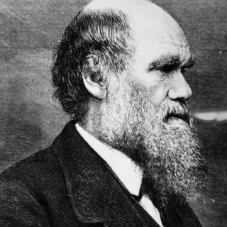 Recuerdan a Charles Darwin en la Universidad de Tennessee