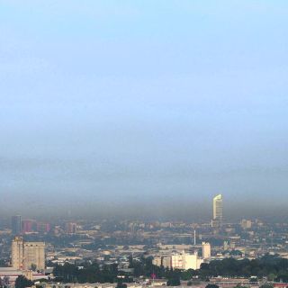 Sustentabilidad, eje transversal del próximo Ejecutivo estatal