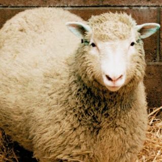 Efemérides: en 1766 nace Thomas Malthus