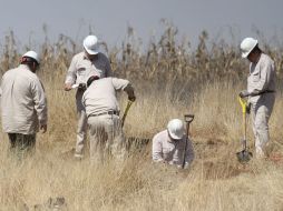 Personal especializado de Pemex procedió a inhabilitar la conexión ilícita y a realizar la reparación del ducto afectado. ARCHIVO /