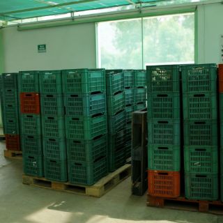 Unen esfuerzos American Chamber y Seijal