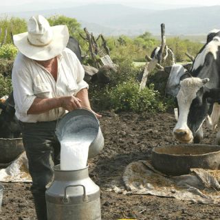 Lecheros anuncian movilizaciones