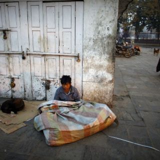 Disminuyen hambrientos en Latinoamérica: FAO