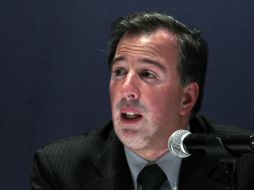 Meade señala que la política exterior es un instrumento para alcanzar los objetivos planteados por Peña Nieto. ARCHIVO /
