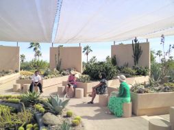 Exploración. La visita al sitio permitirá conocer a profundidad algunas de las diferentes especies de cactus desde ópticas de teoría.  /