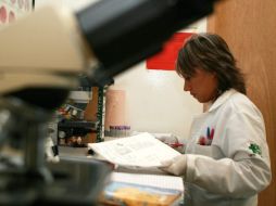 En este sector, los exámenes más indicados serían biometría hemática, análisis de orina y radiografía de tórax, precisó. ARCHIVO /
