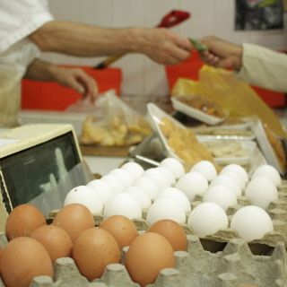 Descartan alza en precio de pollo y huevo por gripe aviar