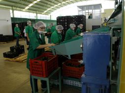 El año pasado, la economía del país registró un crecimiento de 3.9 por ciento, igual a la cifra reportada en 2011, según el INEGI. ARCHIVO /