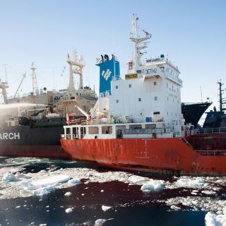 Sea Shepherd denuncia ataque de ballenero japonés en Antártico