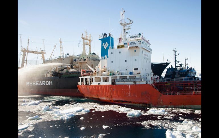 El Nisshin Maru se estrella contra el Steve Irwin cuando este intentaba evitar que subieran una ballena arponeada. AP /