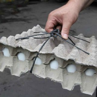 Injustificado, desabasto y aumento en precio de pollo y huevo: SE