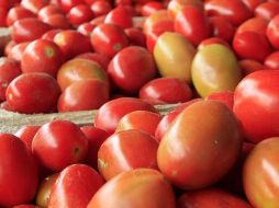 El estado líder en cuanto a producción y exportación es Sinaloa. ARCHIVO /