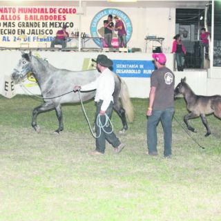 Arranca segunda edición del Festival Internacional del Caballo