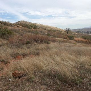 Zapotlanejo dona predio para centro universitario