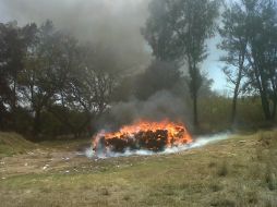 Entre las drogas quemadas destaca con mayor presencia la mariguana.  /
