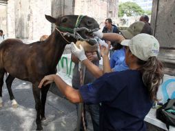 El curso fue para 55 conductores de calandrias. ARCHIVO /